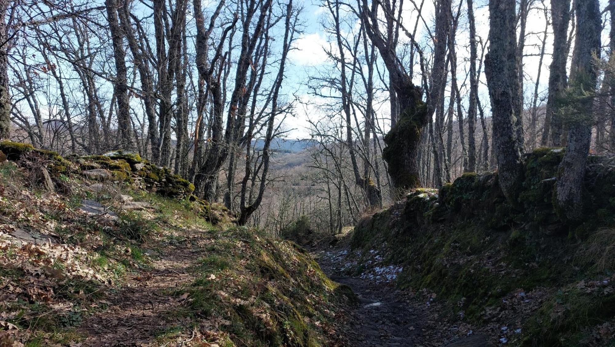El Tinao De La Hiruela Villa Kültér fotó
