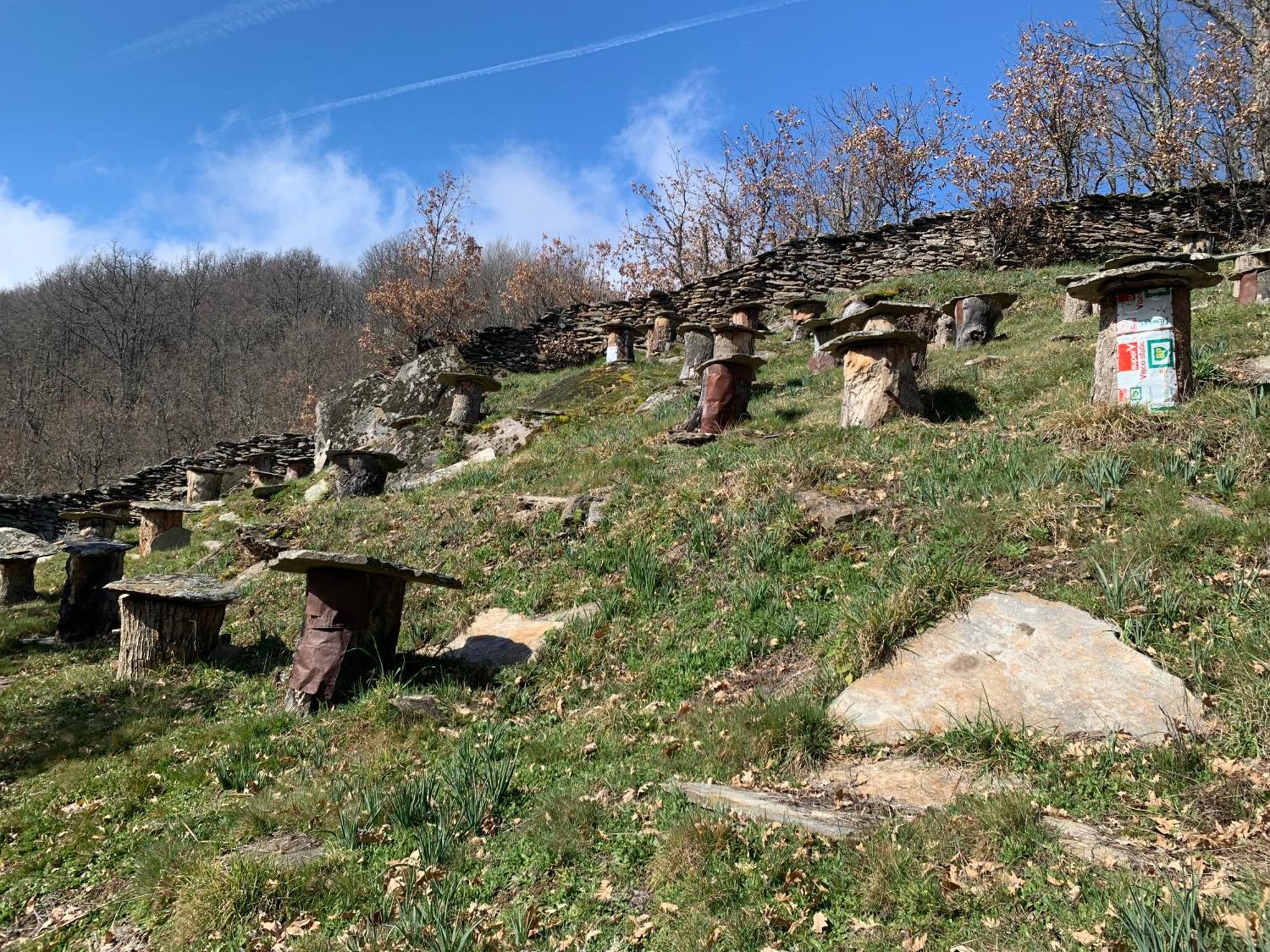 El Tinao De La Hiruela Villa Kültér fotó